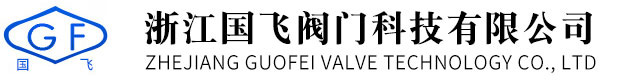 浙江國飛閥門科技有限公司